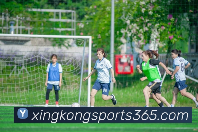 多媒体互动体验